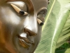 buddha-tom-krech